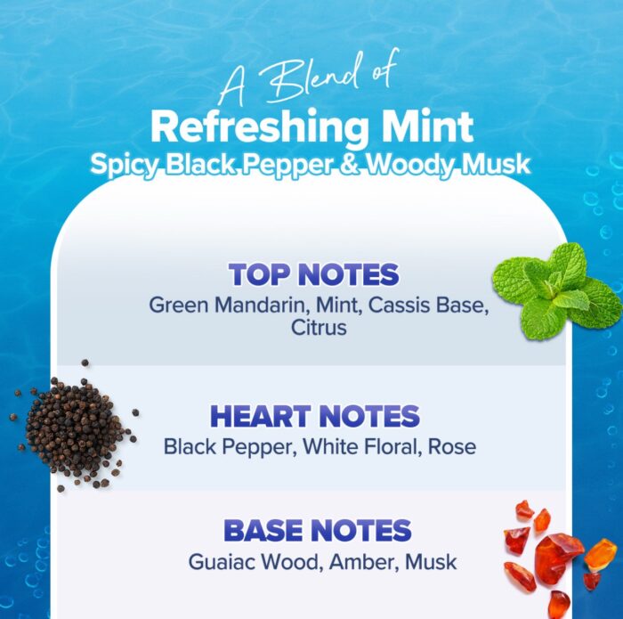 Aqualogica Refresh+ Ocean Breeze Perfume Body Mist for Women | | 150 Ml - Image 6