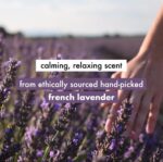 Love Beauty And Planet Argan Oil and Lavender Paraben Free Smooth and Serene Conditioner|| 200 ml - Image 3