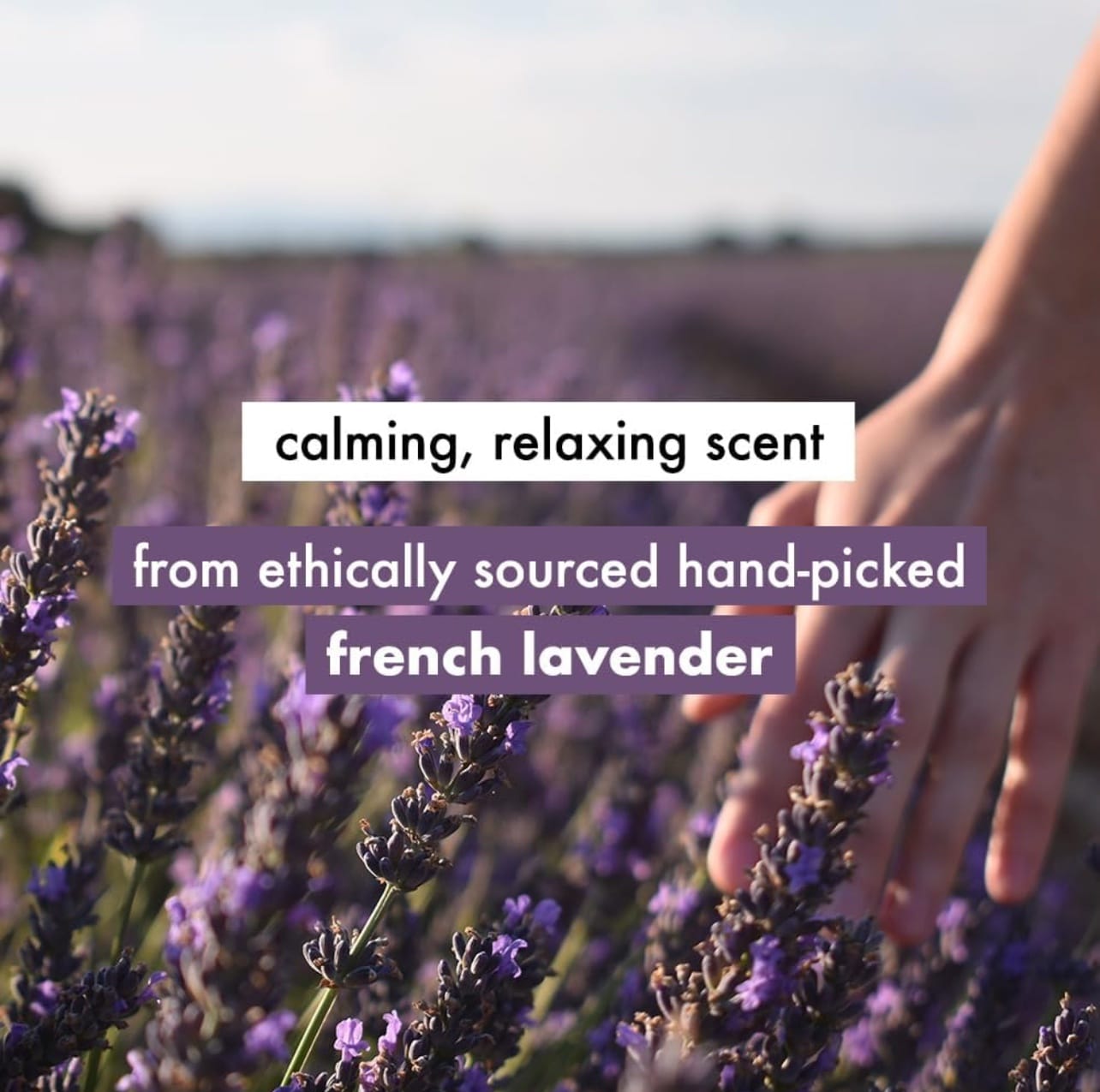 Love Beauty And Planet Argan Oil and Lavender Paraben Free Smooth Conditioner|| 400 ml - Image 3